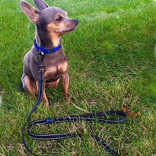 Max and Neo Small Dog Leash - Reflective Nylon, Donates to Dog Rescue (Pink, 4x5/8)