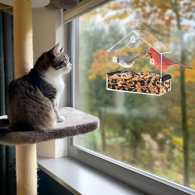 MEWTOGO Outdoor Window Bird Feeder for Cats Viewing, Small | Clear Bird Feeder with Strong Suction Cup, Cat Perch Accessories for Entertaining Watching
