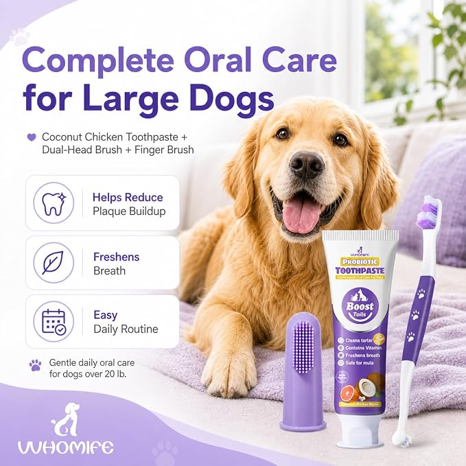 Dog Toothbrush Kit, 2.5oz Toothpaste, Dual-Head & Finger Brush | Gentle Dog Care. For Dogs Over 20 lb. Soft Brush Comfort. Coconut Chicken Flavor. Easy Daily Routine.