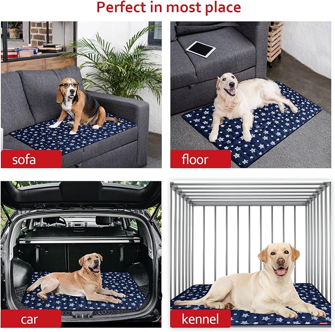 Dog Crate Pad Mat (36" X 23"), Soft Dog Bed Mat with Cute Prints | Personalized Crate Pad, Anti-Slip Bottom, Machine Washable Kennel Pad