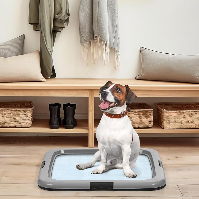 IRIS USA Pee Pad Holder for Dogs and Puppies, Potty Training Tray with Secured Latches, Non-Skid Feet, Leak Protection, Easy Clean Surface, Fits 22"x 22" Puppy Pads Size or Larger, Black/Gray