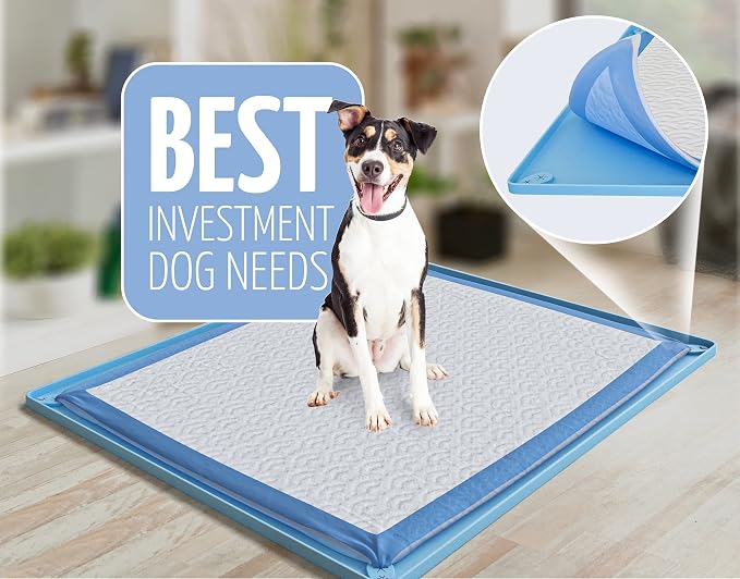 Skywin TidyFriend Pee Pad Holder Tray for 30 x 23 InchesPeepad with Corner Clips, 2 Pack Silicone Dog Potty Tray, Easy to Clean No Spill Dog Potty Training Pad Holder (Blue)