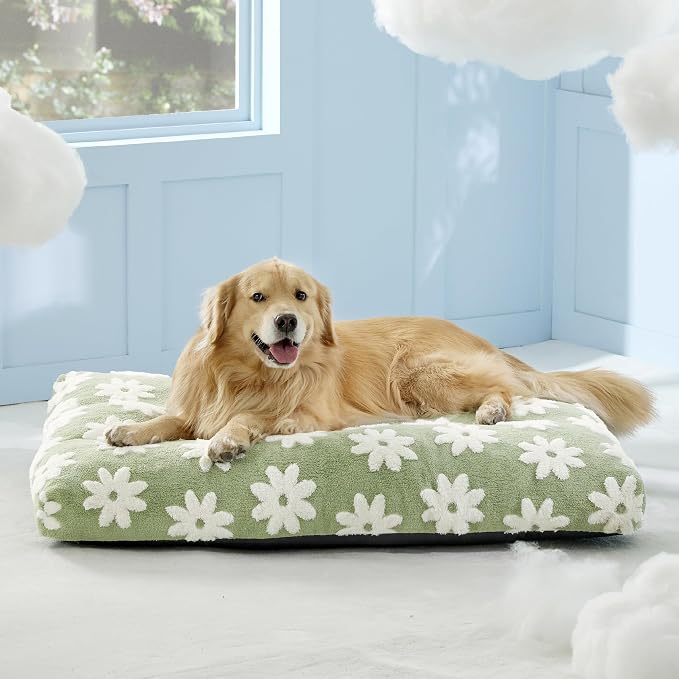 LE SURE Extra Large Dog Bed-Thick Shredded Chopped Foam Pet Bed Indoor with Removable Cover, Cute Modern Fuzzy Plush & Anti Slip Bottom, Green
