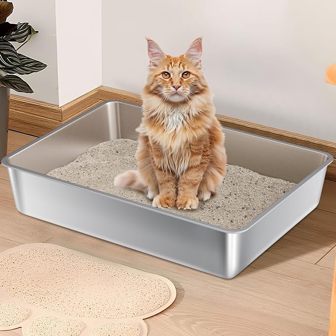 Stainless Steel Litter Box XXXL,6" Cat Litter Box Easy to Clean, XLarge Metal Litters Boxes No Smell for Large/Multiple Cats