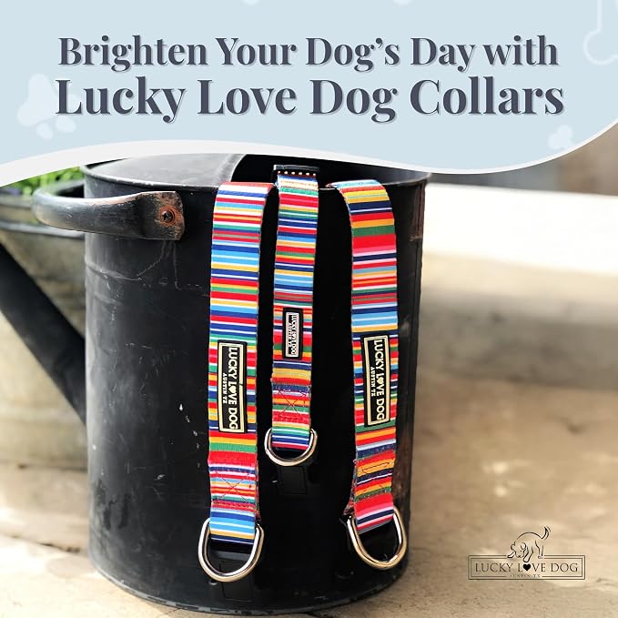 Lucky Love Dog Collar, Beautiful & Vivid Patterns, Rainbow Dog Collar for X-Large Dogs, Easy On & Off Clasp Accessory (Hippie, XL)…