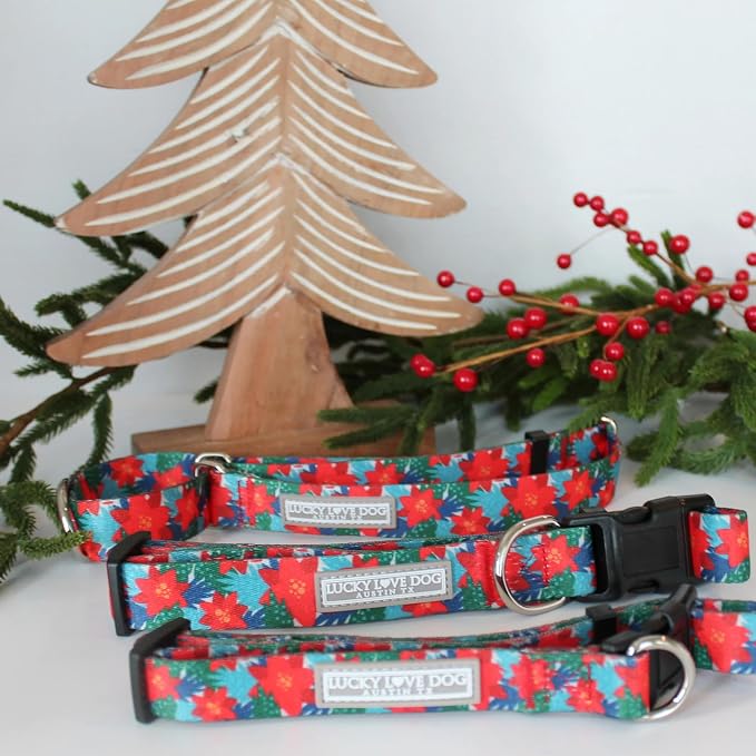 Lucky Love Dog - Easy Click Noel Dog Collar with Leash Set Combo, Durable & Comfortable for Male & Female Dogs, Pet Collar for Medium Dogs, Secure Fit - Noel Combo, Medium