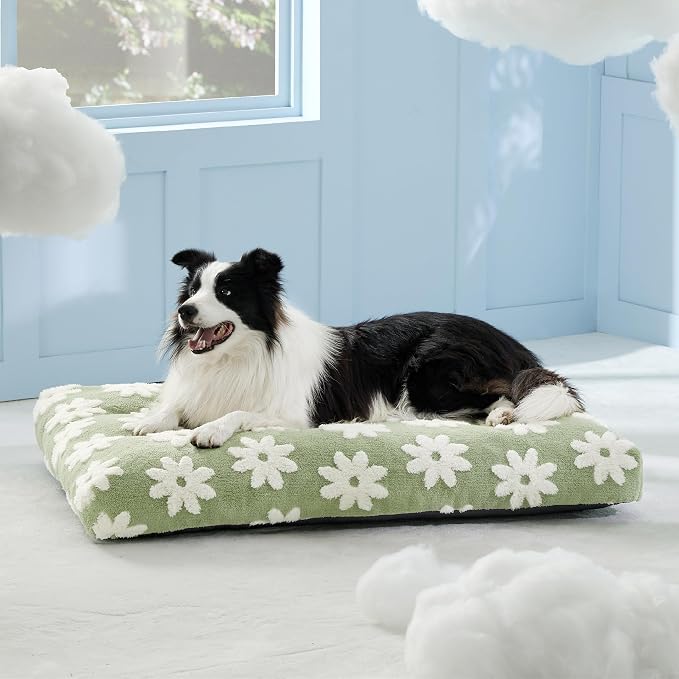 LE SURE Large Dog Beds-Thick Shredded Chopped Foam Pet Bed as Gift for Indoor with Removable Cover, Cute Modern Fuzzy Plush & Anti Slip Bottom, Green