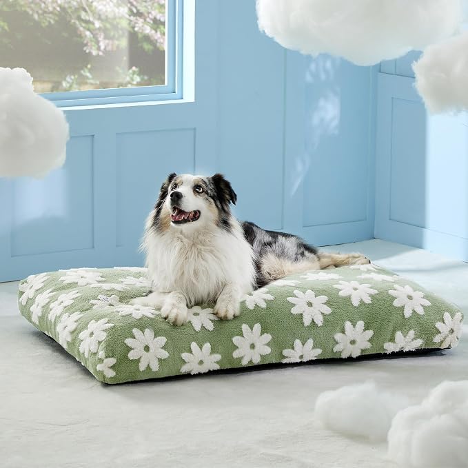 LE SURE XLarge Dog Bed-Thick Shredded Chopped Foam Pet Bed Indoor with Removable Cover, Cute Modern Fuzzy Plush & Anti Slip Bottom, Green