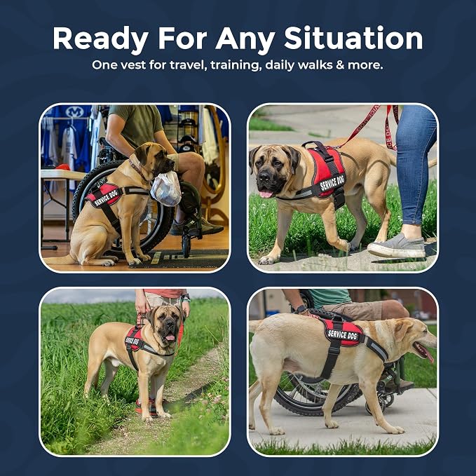 Industrial Puppy Service Dog Vest Harness - Durable & Adjustable Vest for Dog with Reflective Straps, Removable Patches, 50 ADA Cards, Handle & D-Ring, Travel and Daily Use, (Bright Red, XL 30"-39")