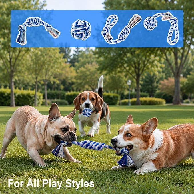 Dog Rope Toys 4 Pack for Small Dogs & Puppies - Cotton Knot Teething Chew Dog Toy, Interactive Tug of War Set for Boredom Relief, Teeth Cleaning, Indoor/Outdoor Play - Blue