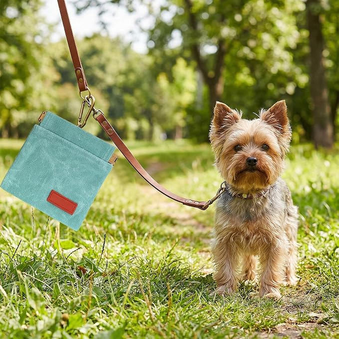 Dog Treat Pouch Blue Green Pocket Sized Pet Training Pouch Training Pouch with Carabiner Buckle Auto Closing Dog Walking Bag Pet Feed Snack Reward for Pet Puppy Travel Outdoor Use