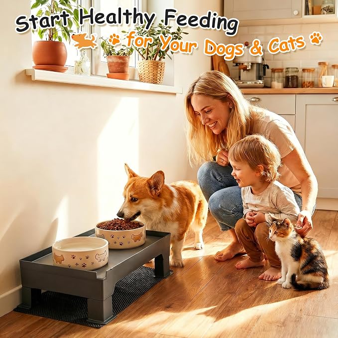 2 Set Elevated Dog Bowl Stand and Waterproof Non Slip Mat, Gray Pad | Reduce Neck, Joint and Spinal Strain, Sturdy Legs, Easy Clean Silicone Pet Food Mat, For Small & Medium Dogs, Cats