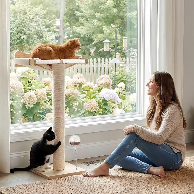 Cat Window Perch with Scratching Post, Hammock with Cushion | 44"/31"/18" Height Adjustable Sisal Cat Tree, 33lbs Capacity Perch for Indoor Cats Scratching & Watching Birds, Beige