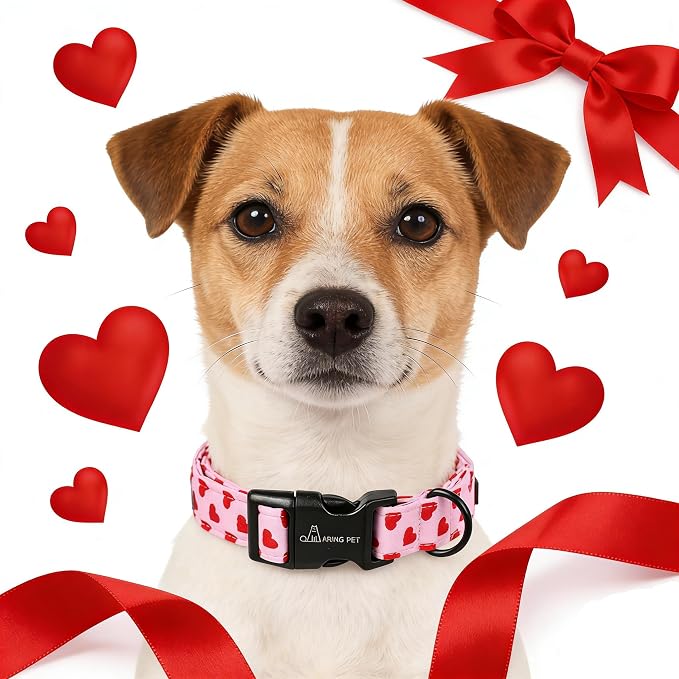 ARING PET Valentine's Day Dog Collar, Cute Pink Heart Pet Collars with Quick Release Buckle for Puppy Small Medium Large Boy Girl Dogs-S