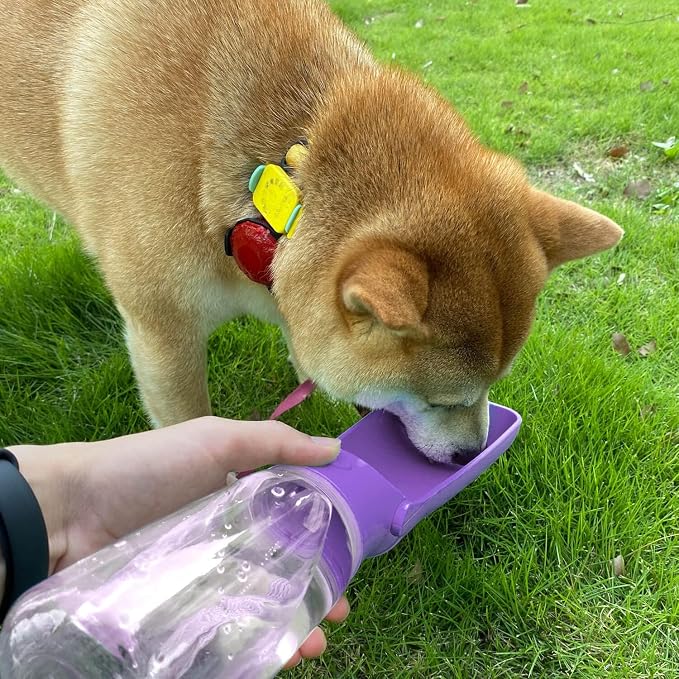 WePet Foldable Portable Dog Water Bottle Puppy Water Dispenser with Drinking Feeder, 12 OZ, High-Temperature Resistant Leak Proof for Pets Outdoor Walking, Hiking, Travel, Food Grade Plastic BPA Free