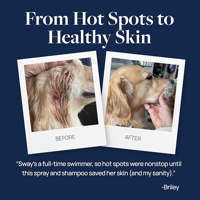 Veterinary Formula Clinical Care Hot Spot & Itch Relief Pet Shampoo, 16 oz | Medicated formula helps alleviate sensitive skin, scratching and excessive licking of the coat