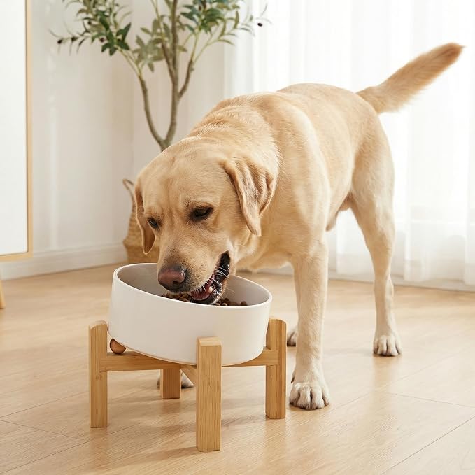 hjn Elevated Ceramic Dog Bowl 15°Slanted Raised Dog Bowl with Bamboo Stand for Small Medium Dogs and Cats, Pet Feeder -7.6-Cup (1800ml)-White
