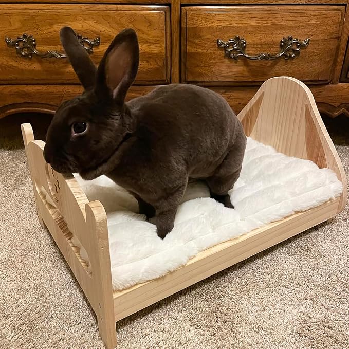 Pet Bed Extra Small 12 x 18 for Crate or Cage Fits Tiny Dogs And Indoor Cats With Rabbit,Washable XS Puppy Crate Bed Comfy Kennel Pad Anti-Slip Doggy Sleeping Mat Cushion for Mini Small Breeds,Cream