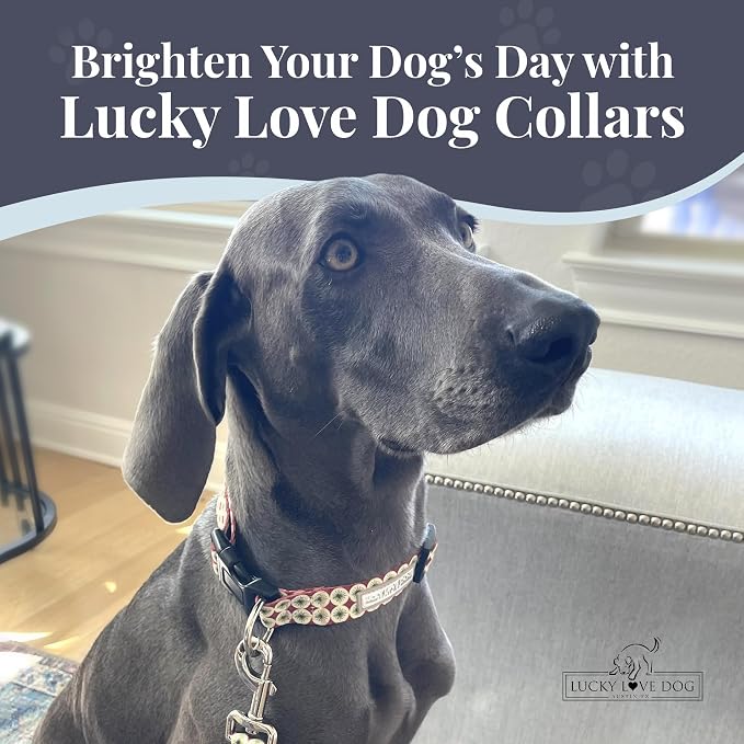 Lucky Love Dog - Easy Click Buckle Dog Collar with Leash Set Combo, Durable & Comfortable for Male & Female Dogs, Pet Collar for Small Dogs, Secure Fit - Pongo Combo, Small