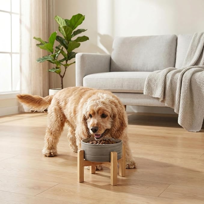 hjn Elevated Ceramic Dog Bowl with Bamboo Stand, Raised Pet Feeding Station for Small Medium Dogs Cats, Modern Design with Anti-Slip Base (White Gray, 3.6Cup)