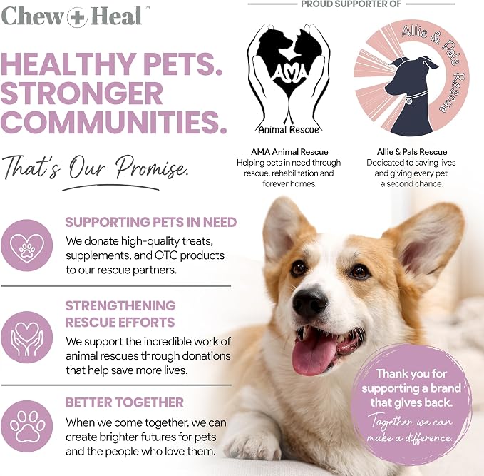 Dog Ear Cleaner - Dog Ear Infection Treatment for Dirt and Wax, 12 oz | Advanced Dog Ear Flush with Chlorohexidine and Ketoconazole - Made in the USA