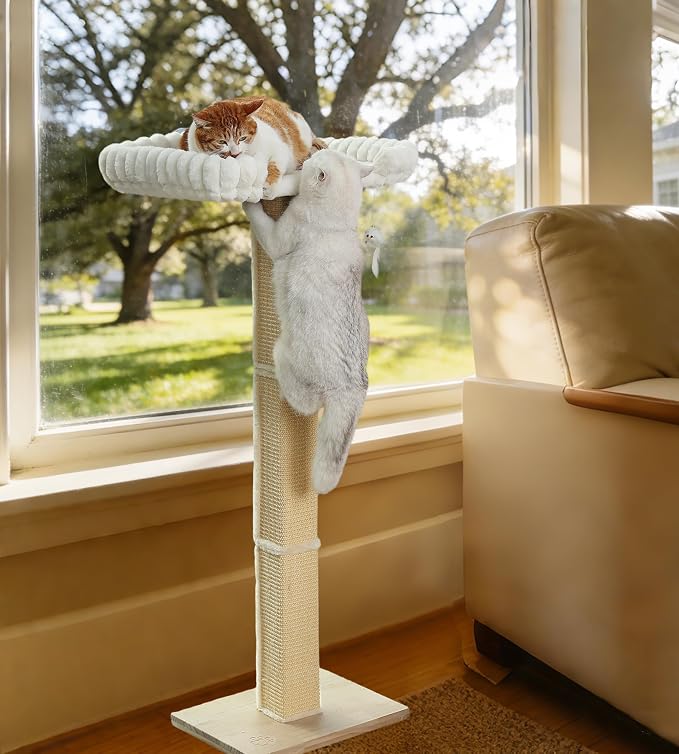 Cat Scratching Post with Large Window Perch, 47-Inch Tall Sisal Cat Tree | Glass Suction-Cup Mounting; For Large Cat & Maine Coons; Thick Square Sisal Post; Ultra-Soft Bolstered Bed; Hold Up to 45 lbs