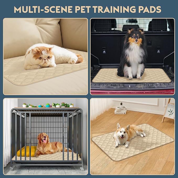 FunFurry Washable Pee Pads for Dogs - 1 Pack Reusable Pee Pads,Waterproof Puppy Pads,Pet Training Pads,Super Absorbent with Dog Paw Shape Non-Slip Backing (Cream, 72" X 72" - 1 Pack)