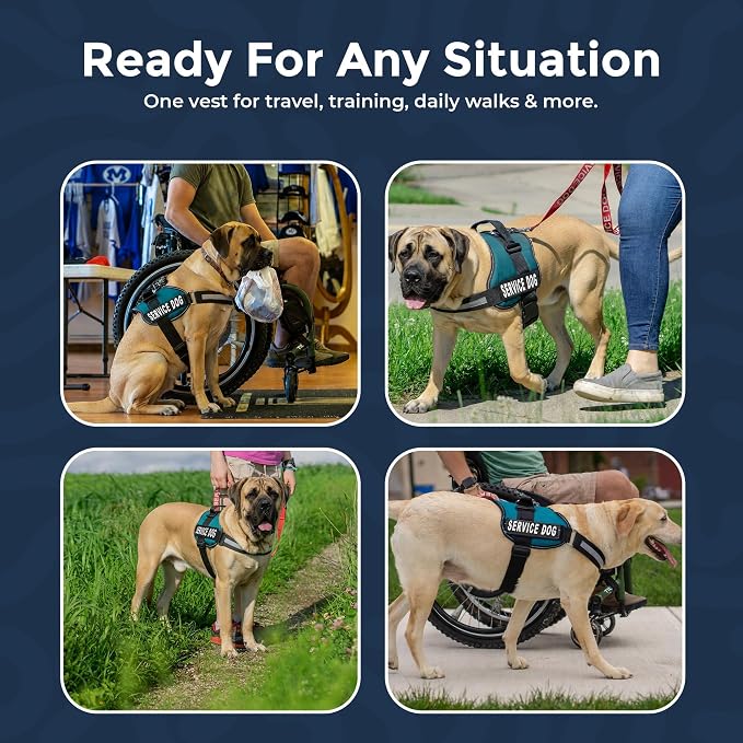 Industrial Puppy Service Dog Vest Harness - Durable & Adjustable Vest for Dog with Reflective Straps, Removable Patches, 50 ADA Cards, Handle & D-Ring, Travel and Daily Use, (Teal, XL 30"-39")