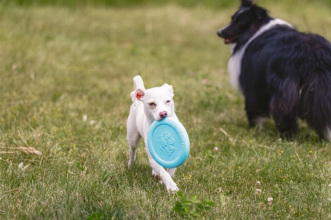 West Paw Zogoflex Zisc Dog Flying Disc, High Flying Aerodynamic Disc for Dogs Puppy – Lightweight, Floatable Disc for Fetch, Tug of War, Catch, Play – Doubles as Food/Water Bowl, Small 6.5", Aqua Blue