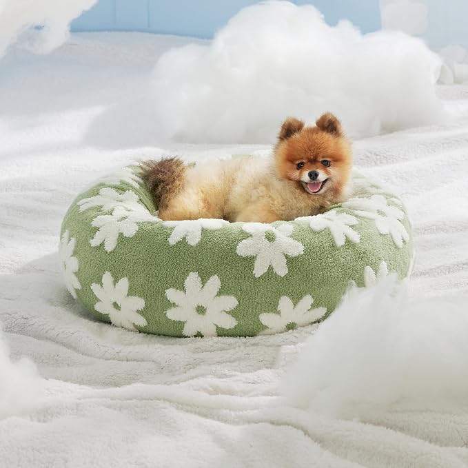 LE SURE Shown on TV Donut Small Dog Bed - Round Cat Beds Indoor Calming Gift for Pets, Cute Modern Beds with Jacquard Shaggy Plush & Anti Slip Bottom, 27 Inch, Green