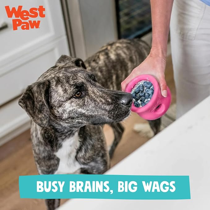 WEST PAW Zogoflex Toppl Interactive Treat Dispensing Puzzle Dog Toy for Mental Stimulation & Enrichment-Holds Kibble & Treats-Lickable, Freezable & Dishwasher Safe-Made in USA-Large-Geranium