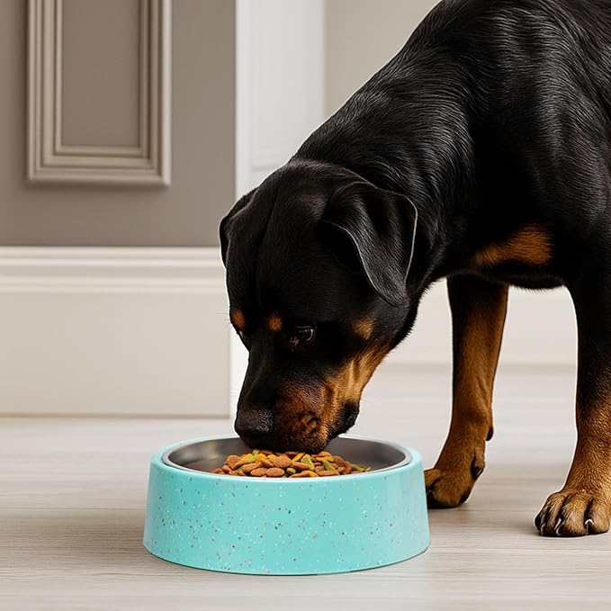 bzyoo 32oz 4CUP Dog & Cat Bowl, Sprinkle Design, Hygienic 304 Stainless Steel Pet Bowl with Removable Inner Bowl, Non-Slip Silicone Base, Dishwasher Safe, for Dry/Wet/Raw Food & Water (Green)