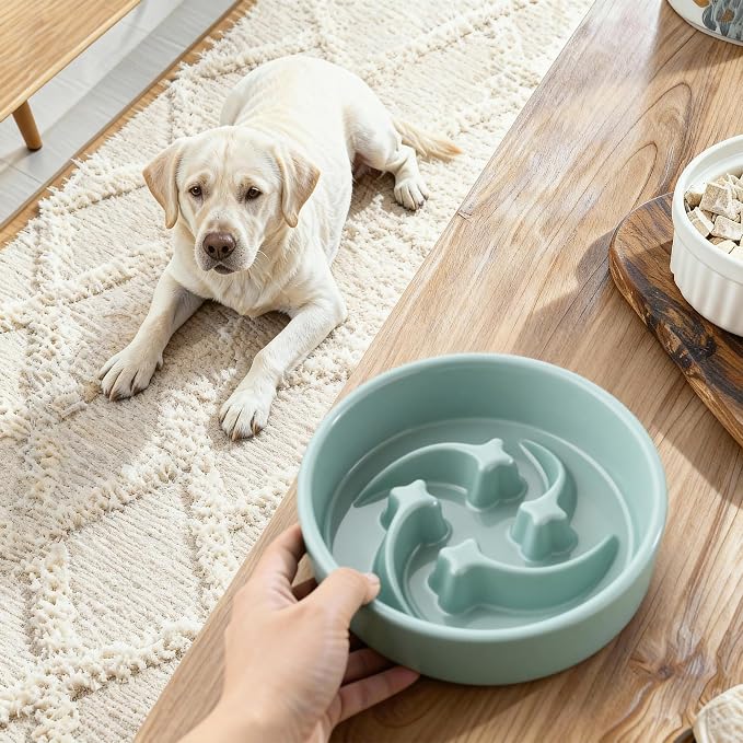 Ceramic Slow Feeder Dog Bowls Small Breed, 0.6 Cups Slow Eating Dog Bowl, Anti-Gulping Puppy Food Bowl Reduce Choking, Puzzle Maze Design Pet Dishes for Fast Eaters, 6.3 inch - Light Green