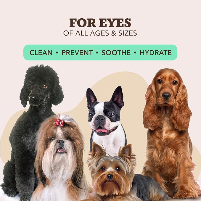 Natural Dog Company XL Dog Wipes for Paws and Butt - Hypoallergenic, Biodegradable, Fragrance Free - Large 7×8 inch Grooming Wipes for Dogs Face and Body - Sensitive Skin Pet Wipes - 50 Count