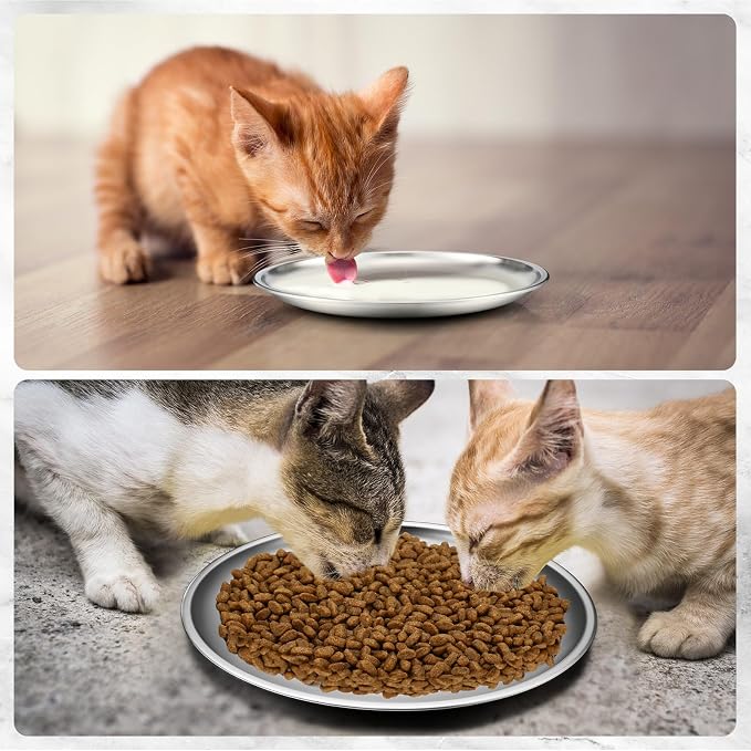 Domensi 12 Pieces Stainless Steel Cat Bowl Metal Pet Food Dish Beard Fatigue Relief Replacement Easy to Clean Indoor Wet Feeding Flat Plates for Dogs Kitten and Other Small Animals(6.7 Inch,Normal)