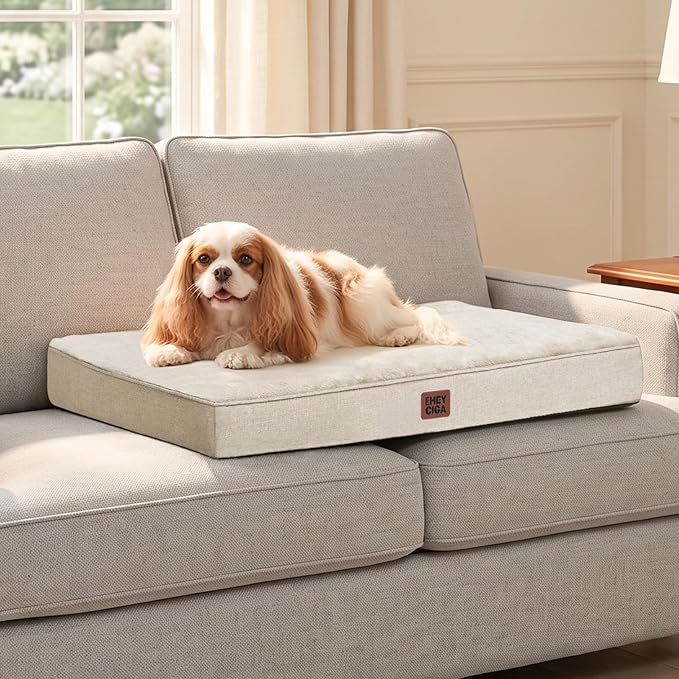EHEYCIGA XL Memory Foam Dog Crate Mat Washable, 41x27Inch, Beige | High Density Egg Crate Foam, Waterproof Liner, Removable Easy Clean Cover, Non-Slip Bottom, Fits Crate, Floor and Sofa