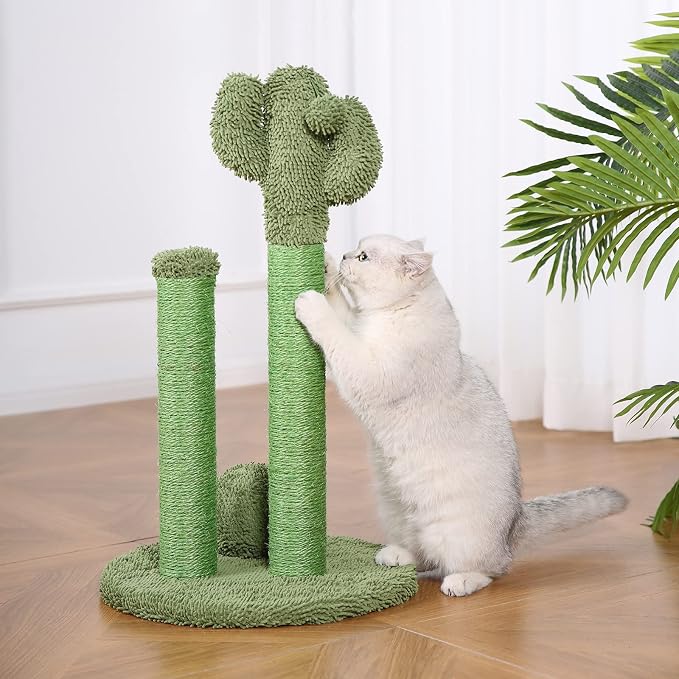 Amazon Basics Cat Scratching Post, Indoor Cactus Triple Posts for Cats & Kittens with Dangling Ball, Large, 27"H, Green