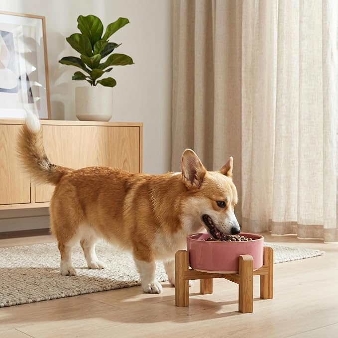 hjn Elevated Ceramic Dog Bowl with Bamboo Stand, Raised Pet Feeding Station for Small Medium Dogs Cats, Modern Design with Anti-Slip Base (Deep Pink, 3.6Cup)
