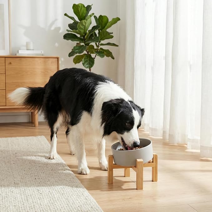 hjn Elevated Ceramic Dog Bowl 15°Slanted Raised Dog Bowl with Bamboo Stand for Small Medium Dogs and Cats, Pet Feeder -7.6-Cup (1800ml)-Gray