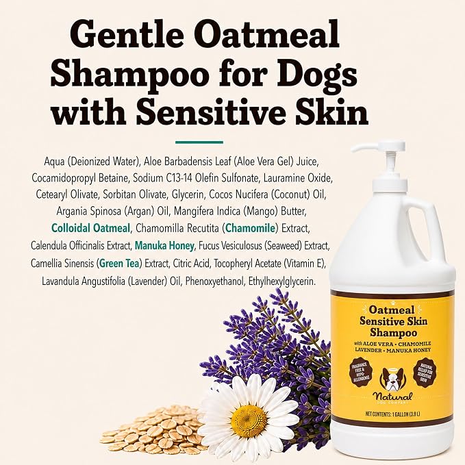 Natural Dog Company Sensitive Skin Dog Shampoo Gallon – Hypoallergenic Oatmeal Shampoo for Dogs, Professional Groomer & Multi-Pet Dog Wash with Aloe Vera & Manuka Honey, Odor Control, 128 oz