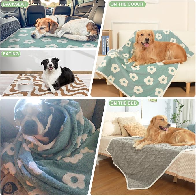 BEAUTYZOO Waterproof Dog Blankets for Large Dogs, Dog Blanket for Couch Sofa Bed, Super Soft Premium Coral Fleece Throw Cat Puppy Blanket, Reversible Furniture Protector, Washable Pet Blanket 40x60IN