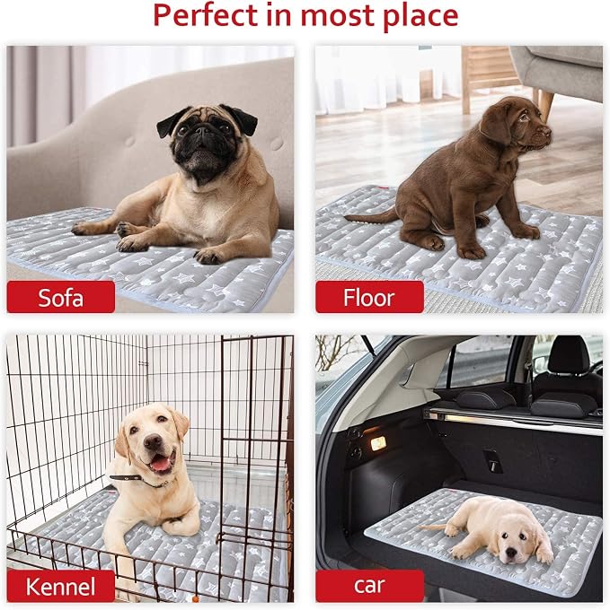 Dog Crate Mat (24" X 18"), Soft Dog Bed Pad Mat with Cute Prints | Personalized Crate Pad, Anti-Slip Bottom, Machine Washable Kennel Pad
