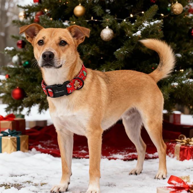 ARING PET Christmas Dog Collar, Cute Cotton Red Xmas Doggy Pet Puppy Collar for Small Medium Large Boy and Girl Dogs-XS