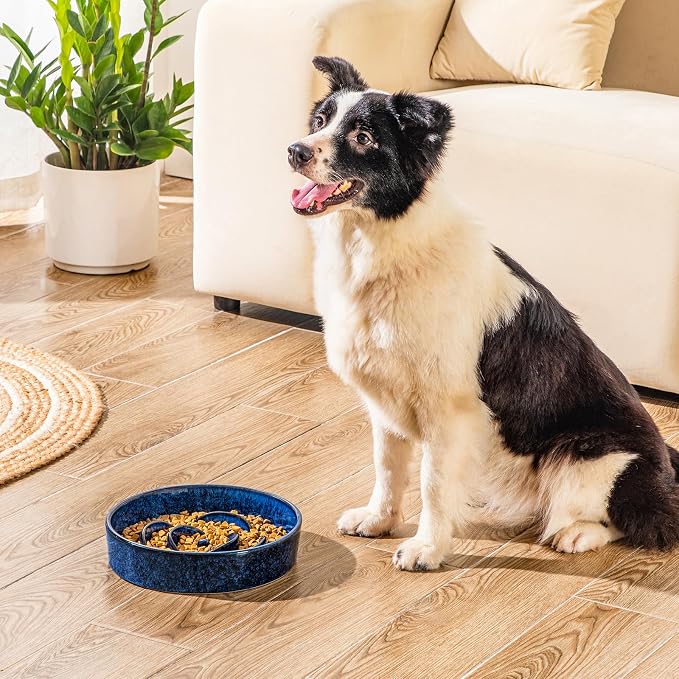 vancasso Slow Feeder Dog Bowl, 3 Cups Ceramic Slow Feeder for Large Breed, Puzzle Maze Dog Food Bowl for Fast Eater, Blue