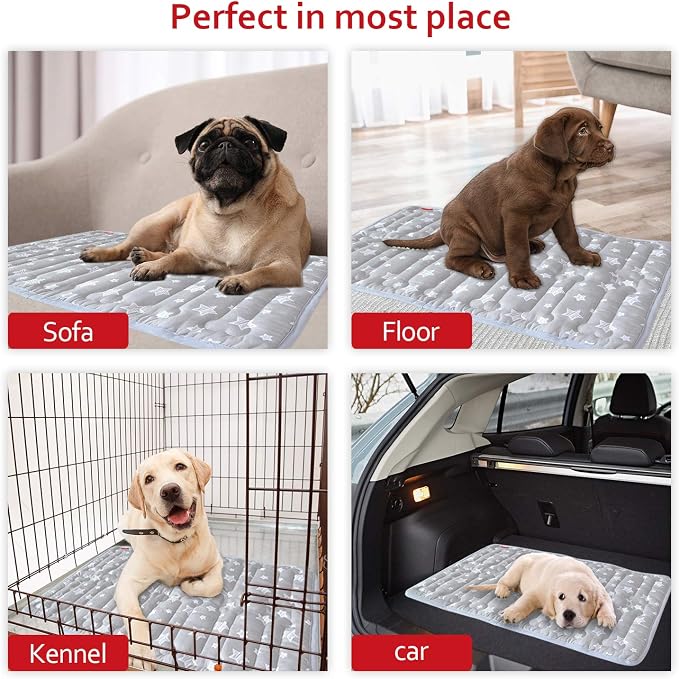 Moonsea Dog Crate Mat (24" X 18") 2 Pack, Soft Bed Mat with Cute Prints, Personalized Dog Crate Pad, Anti-Slip Bottom, Machine Washable Kennel Pad, Grey