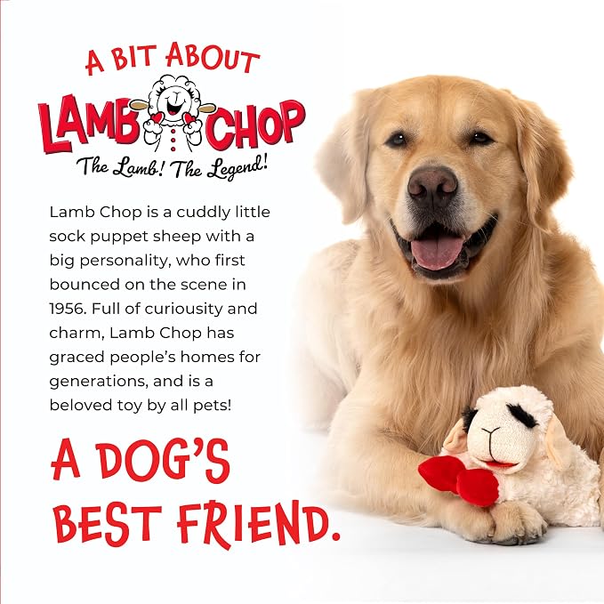 Multipet Lamb Chop Dog Plush Toy - Squeaky Toy for All Dogs - Extra Soft Plush - Stuffed Animal Dog Toy for Cuddling & Playing - Cute Pet Toy (6", Cream)