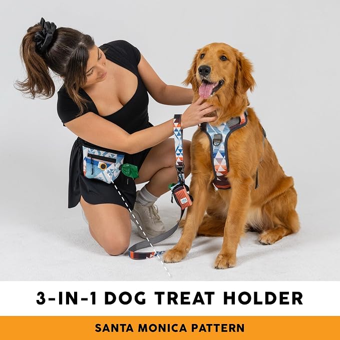 Embark Dog Treat Pouch - Waterproof Training Bag & Portable Water Bowl | Leakproof Treat Bag with Hook, Magnetic Closure, Extra Pocket for Phone & Keys with Poop Bag Outlet For Dogs - Black