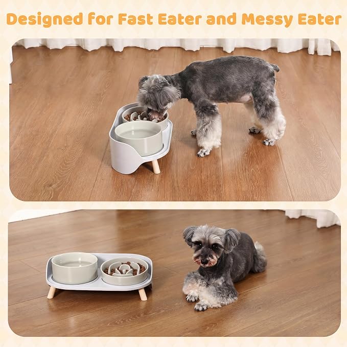 Elevated Slow Feeder Dog Bowls - Ceramic Food and Water Bowl Set with Stand - Raised Pet Dishes for Small and Medium Sized Dogs