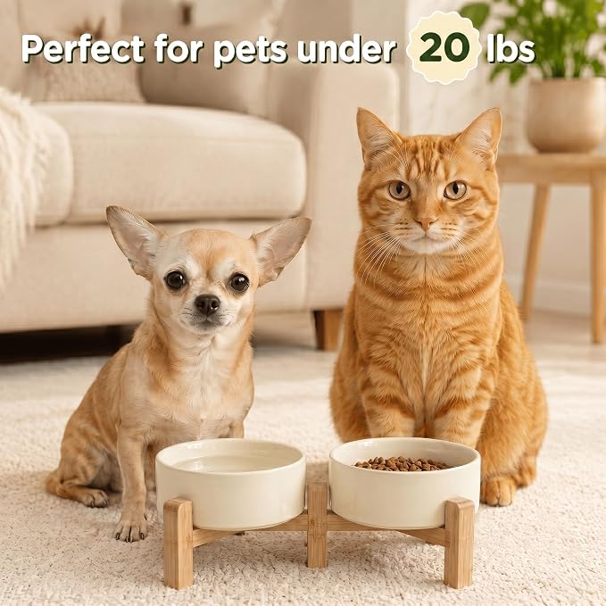 SPUNKYJUNKY Elevated Dog Bowls Ceramic, 5.1'' Dogs and Cat Food Water Bowls Raised with Non-Slip Bamboo Stand for Puppy Small Sized Breed Microwave Dishwasher Safe - 13.5 OZ,Beige