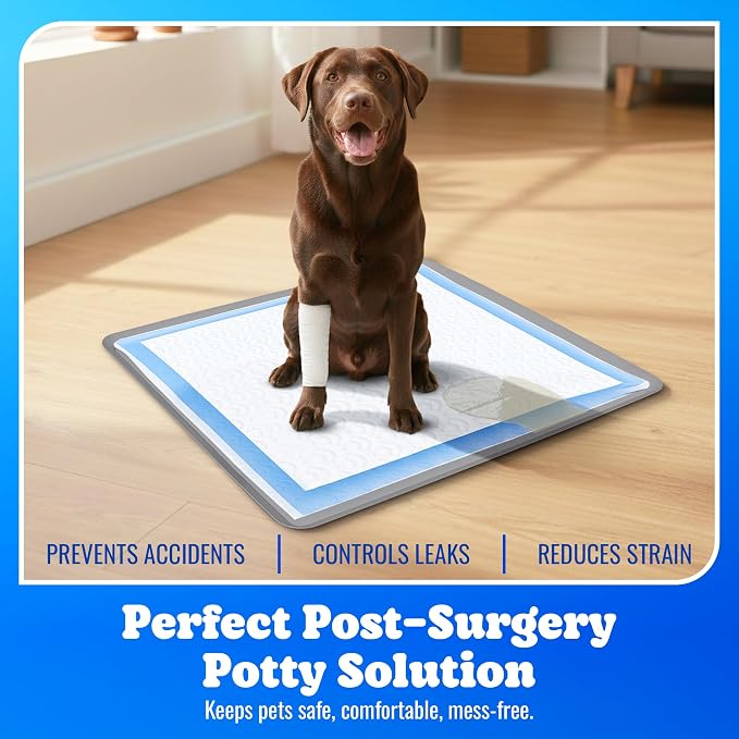 Skywin TidyFriend Dog Pee Pad Holder - Fits Up to 24” x 24” Pee Pad Holder for Dogs - Stable Grip, Soft Edges, Quick Wipe Silicone Surface Dog Pad Holder for Indoor Flooring Protection (Dark Grey)